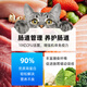 Cat gastrointestinal care, digestive aid, diarrhea and vomiting care, special food for cat intestinal care, full-price formula staple food, full-price intestinal prescription food for cats*1kg