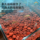 Devodo red volcanic rock 5kg (1-2cm) succulent granular soil paving stone mixed with soil to improve soil gardening soilless cultivation