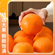 
Shengrong Fruits and Vegetables Ehime Jelly Orange No. 38 [Next-day delivery in many places] Sichuan hand-peeled oranges and citrus fresh fruit gift box [7A selected fruits] Fruit diameter 65-70mm sweet 3 Jin [Jin equals 0.5 kg] Packing [Try it first - small quantity] Net weight 2.5 Jin [Jin equals 0.5 kg]