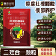 Jinhe Fengwo three-in-one anti-corrosion and root-strengthening granules, anti-root rot, root-promoting, seedling-strengthening and soil-improvement fertilizer 15 bags - a must-select for large growers