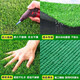 Fake lawn simulated artificial turf plastic green carpet rooftop balcony roof sun room villa courtyard outdoor 2.5 cm thickened extra dense spring grass 3 meters wide 8 meters long manual cutting