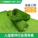 Co-create lawn Co-create artificial grass 10 square meters plastic turf kindergarten gym greening outdoor courtyard school football field fake grass 10mm thickened and encrypted ordinary style (10 square meters)