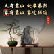 
Authentic Taishan stones, natural petrochemicals, living room, backing stones, office feng shui stone ornaments 15828, safe and safe in the house