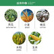Zhengye Hainan Zhengye 5% amino oligosaccharide islandin virus disease rice blast scab blight plant inducer islandin 500 ml