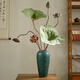 Real flower living room decoration lotus lotus dried flowers natural high-end decorative ornaments bouquet Zen light luxury wabi-sabi style simulation rod lotus set 7 with vase with patina vase A dry flower bag