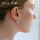 ZEGL real willow hoop giant good-looking earrings women's niche ear hoop light luxury high-end French exquisite earrings new hot style
