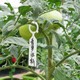 Gardening label thickened waterproof colorful plastic flower label plant flower pot flower name hook type hanging label buckle orange buckle label 100 thickened and light-resistant