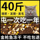 BEYZK bulk cat food for kittens and adults 1Jin Jin is equal to 0.5kg 5Jin Jin is equal to 0.5kg 10Jin Jin is equal to 0.5kg Cat food for fattening, bright hair, cheek hair, universal cat chicken flavor 500g 1Jin Jin is equal to 0.5kg Try it