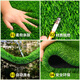 Qingya simulated lawn carpet, fake turf bedding, plastic outdoor artificial court, artificial fence, kindergarten green floor mat, 2 cm, newly upgraded 11-pin encryption, high-quality B-grade model (2 meters wide and 25 meters long) 50 square meters