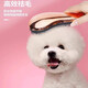 Xixi Tai Tai dog comb Teddy comb special pet massage comb fluffy artifact small dog Bichon dog hair supplies rose gold comfortable massage + hair beauty SPA