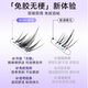 BHBN false eyelashes glue-free self-adhesive natural simulation Korean style 2025 new sunflower eyelashes swollen eye bubbles suitable for novices