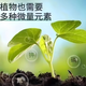 Imported from Russia, organic fertilizer, compound fertilizer, potassium sulfate fertilizer, vegetable fertilizer, flower fertilizer, fruit tree nutritional fertilizer 5 Jin Jin equals 0.5 kg (shipped in separate packages, please do not take pictures if you mind)
