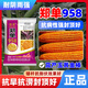Zhuanghan Academy of Agricultural Sciences corn seeds with short stems, lodging resistance, drought resistance and high yield double stems upgraded disease-resistant golden grain bract grain seeds Academy of Agricultural Sciences golden grain 1515g, resistance to lodging and stable yield