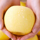 Jingdida Yantai Qixia Apple Cream Fuji Apple 25 Years New Fruit Grade 80 5Jin Jin is equal to 0.5 kg Yantai Apple Fruit Directly from the Source