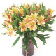 Narcissus lily flowers alstroemeria orange orange red Yunnan base fresh straight hair bloom fast and long flowering period 10 narcissus lilies (wake up the flowers first when they arrive, only 1-2 leaves can be left)
