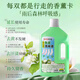 Juqi Selected Sock Cleaning Liquid 2L*1 Bucket No-Scrub Washing Underwear Washing and Sterilizing Rate 99.9% Gardenia Flower Fragrance