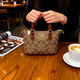 MCM&GN Luxury Women's Bag 2025 New Bag MK Women's Bag Shoulder Crossbody Light Luxury Big Brand Small Tote Bag Handbag Brown