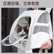 Cat bag, portable pet outing backpack, large cat bag, space capsule, dog car air box, off-white, breathable and not stuffy + side storage, 15Jin Jin equals 0.5kg, universal for cats and dogs, can be carried on both shoulders/hand-held