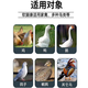 Freeze-dried powder for ducks, chicken, duck and goose diseases, freeze-dried powder, soft foot, lame disease, serositis, anti-viral veterinary breeding medicine, eight bags, used in all farms