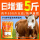 Yonghuan cattle feed 5 fattening beef cattle fattening and weight gain fast fattening
