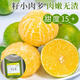 Jingdida Guangxi Emperor Citrus Orange Nettogewicht 4,5 Jin Jin entspricht 0,5 kg Einzelfrucht 60 mm+ Frischfruchtquelle direkt