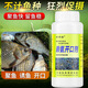 Lysine opening agent for fishing, wild fishing, black pit killing, crucian carp, carp, grass carp, silver carp and bighead carp fish attractant, fish food bait, highly concentrated Lysine opening agent 100ML