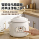 RASW Uncoated Ceramic Electric Stew Pot Baby Food Pot Baby Porridge Pot Porridge Quick Stew Non-overflow Pot Household Multifunctional Fully Automatic Soup and Stew Electric Casserole White Ears Intelligent Reservation for 4-6 People 2.8L