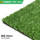 Co-create lawn Co-create artificial grass 10 square meters plastic turf kindergarten gym greening outdoor courtyard school football field fake grass 10mm thickened and encrypted ordinary style (10 square meters)