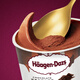 Haagen-Dazs classic chocolate flavor ice cream 2 cups sharing size 116g total