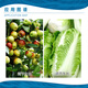Guoguang Guoguang Tiandu 8% ethylamine, Chinese cabbage and jujube tree growth regulator, plant growth regulator 500g