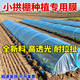 Agricultural plastic film, small shed film, dripping film, special film for greenhouse planting, transparent vegetable growing plastic, thermal insulation and cold protection 4 silk blue dripping film, new material 4.5m*70m