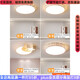 YA ZIZILN OPRI official master bedroom lamp 2025 living room LED ceiling lamp children's room lamp Zhongshan lamp full spectrum spaceship-60 square cm three colors