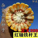 999 corn seeds, short stems, extra large sticks, red shafts, disease-resistant, drought-resistant, lodging-resistant corn seeds, nationally approved corn seeds, Zhengda 999 original five packs of two Jin Jin equal to 0.5 kg