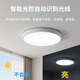 Gongbaili LED induction lamp when people come and light when people go out human body stairs corridor entry door corridor aisle ultra-thin smart toilet human body sensing property 22 watts-human body sensing-80Ra