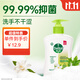 Dettol hand sanitizer jasmine green tea 250g children's antibacterial hand sanitizer disinfection household hand sanitizer with fragrance