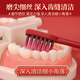 BRUSHING BEAR soft-bristled toothbrush Sam's same style wide head gum protection New Year's wedding wedding celebration dowry men and women special 2 pieces