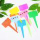 Colorful thickened T-shaped plastic gardening label succulent plant flower name waterproof and sun-resistant ground label with pen light blue 20 pcs + pen
