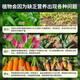 At the time when the flowers are blooming, urea fertilizer, special fertilizer for vegetables, compound fertilizer, fruit and vegetable agricultural vegetable, orchard, flower potting, general compound fertilizer, 1 barrel, urea high-yield fertilizer