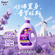 Jinfang Clothes Fragrance Master Fragrance Softener Liquid Laundry Partner Lavender 8Jin Jin is equal to 0.5kg, anti-wrinkle, anti-fading and pilling