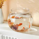 Round household transparent small fish tank desktop 4K ultra-clear desktop fish tank decoration and ornamental one-piece desktop ecological aquarium turtle tank goldfish tank round fish tank small size 12.5*13.5*13.5cm