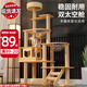 Luo Ou Mansion cat climbing frame, large cat villa, multi-layered cat scratching board, cat nest, cat tree, all-in-one, four-season internet celebrity space capsule, 120cm, 5-layer cat castle-basic model