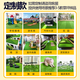 Simulated lawn carpet artificial artificial balcony floor mat kindergarten green outdoor fake grass plastic turf decoration 2 cm extra dense spring grass (2 meters wide and 4 meters long) 8 square meters
