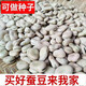New Yunnan dry broad bean seeds, raw dry goods, peas, monkshood beans, fresh orchid beans, good goods, insect-free wholesale, Japanese large white broad beans, original 20 Jin Jin equal to 0.5 kg