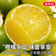 Jingdida Guangxi Emperor Citrus Orange Nettogewicht 4,5 Jin Jin entspricht 0,5 kg Einzelfrucht 60 mm+ Frischfruchtquelle direkt