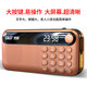 SAST N28 radio for the elderly V30 portable mini player charging V13 card broadcast V60 Walkman music listening semiconductor opera singing machine V60 rose gold dual battery