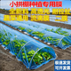 Agricultural plastic film, small shed film, dripping film, special film for greenhouse planting, transparent vegetable growing plastic, thermal insulation and cold protection 4 silk blue dripping film, new material 4.5m*70m