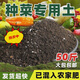 Nutritional soil for growing vegetables and flowers, general fertilizer for raising flowers and green plants, soil organic flower mud, flower soil special 20Jin Jin is equal to 0.5kg fertile organic soil - ten times the fertility upgrade
