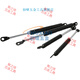 Pupan Nitrogen Spring Gas Spring FHJ411504915089030055070085100150200 Factory FHJ41-15099-075