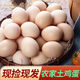 Chuanhua Agriculture’s authentic farm-raised free-range eggs are now picked up and found, 6 pieces Chuanhua Agriculture’s authentic farm-raised free-range eggs are now picked up and found, 6 pieces