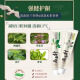 两面针（LMZ）四味针火牙膏 护龈健齿 清新口气 草本中药牙膏缓解口腔问题 强健护龈【留兰香】*1支